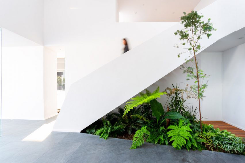 San Antonio House by Juárez R Arquitecto