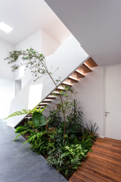 San Antonio House by Juárez R Arquitecto