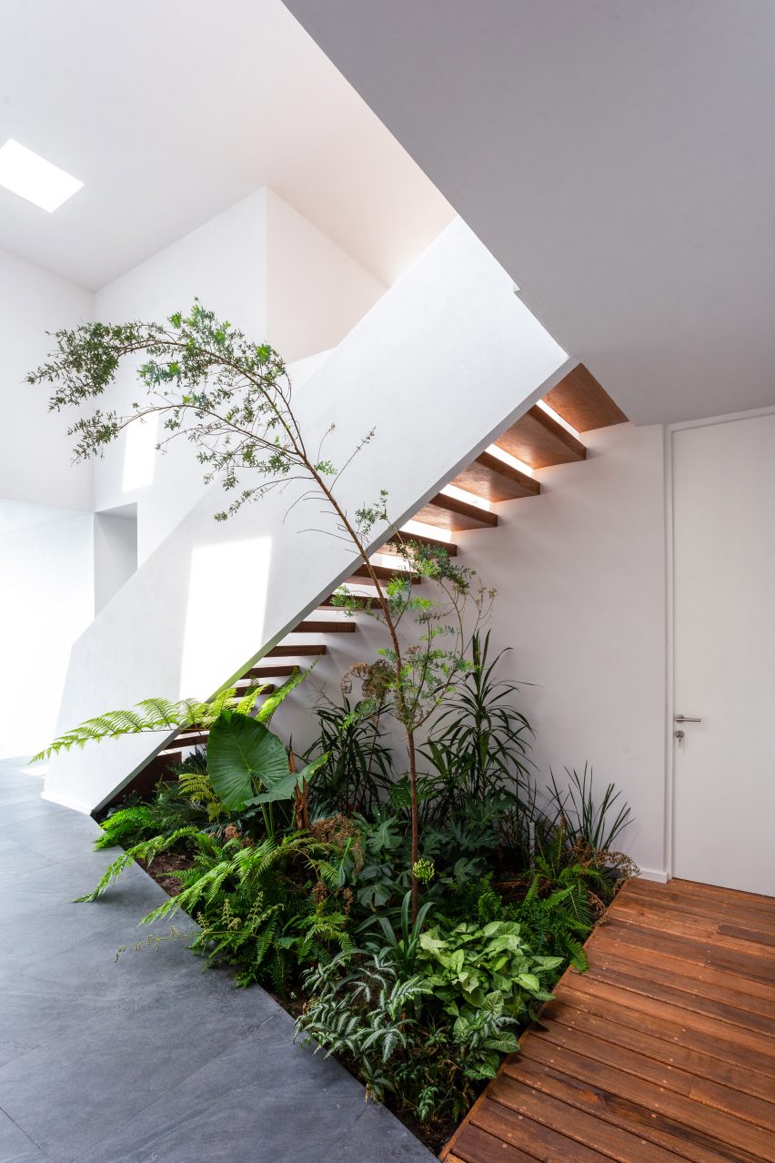 San Antonio House by Juárez R Arquitecto