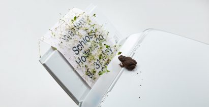 Walden by Schloss Hollenegg for VDF