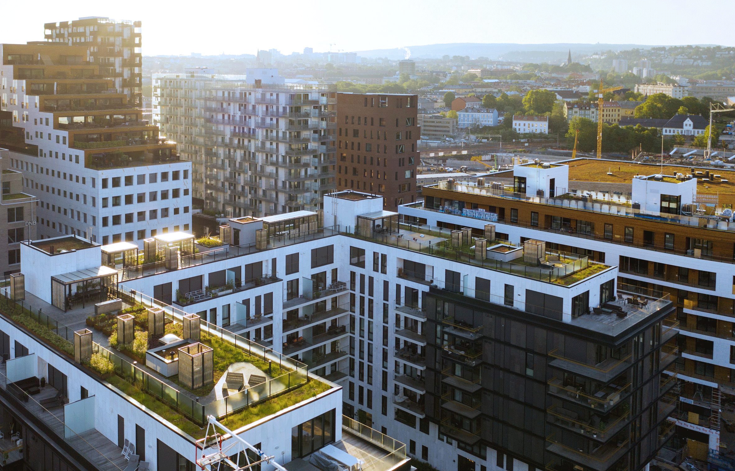 BMI report advises architects on how to remain central in the construction process