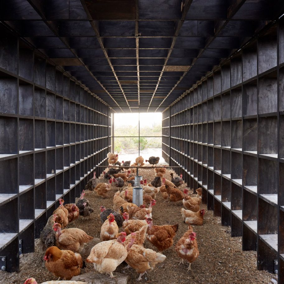 This week, Kengo Kuma designed a chicken coop