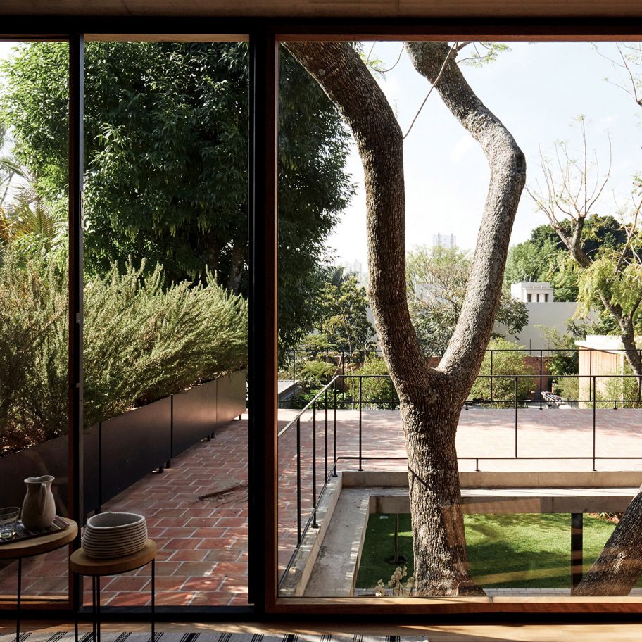 Existing trees left to grow up Guadalajara House by Alejandro Sticotti