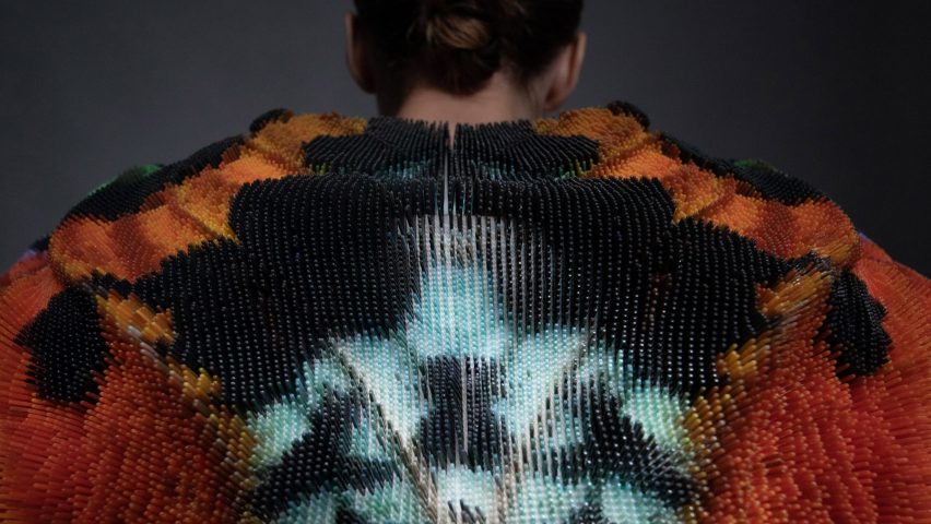 Setae Jacket by Julia Köerner