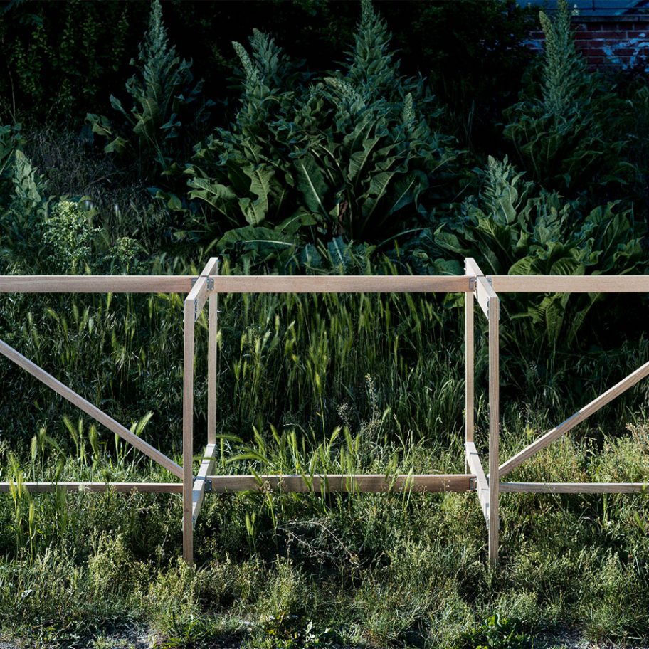 Lukas Wegwerth interview for VDF x Alcova