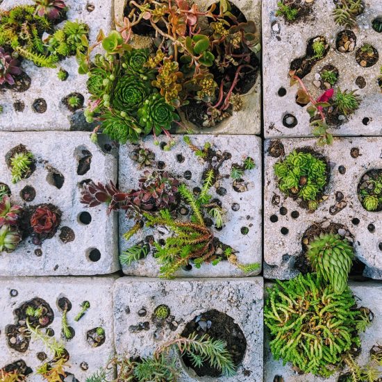 Students go back to nature in projects from New Designers graduate show