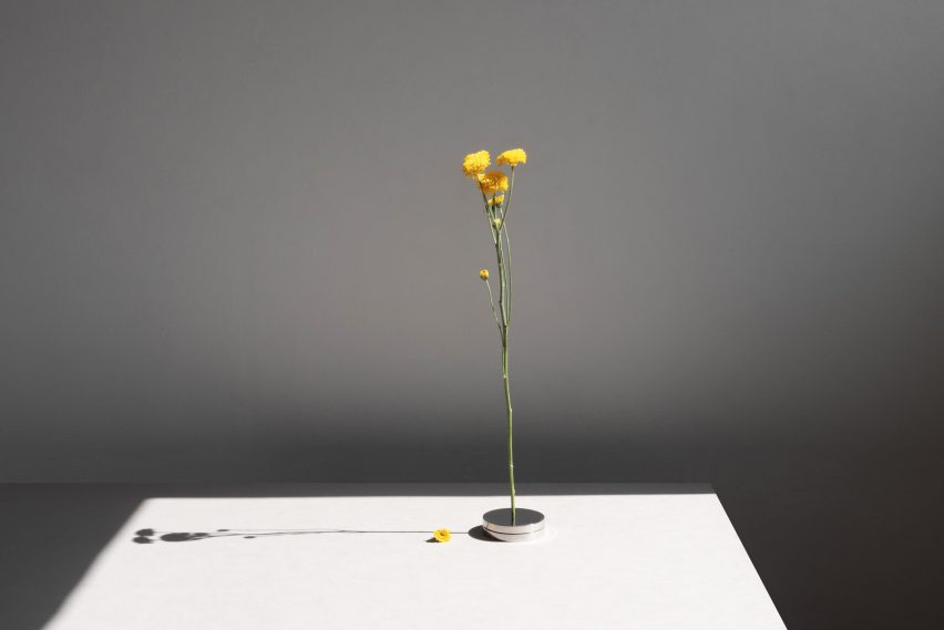 No Vase by Moisés Hernández