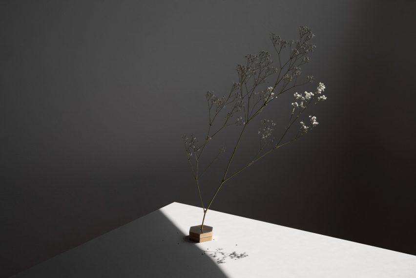 No Vase by Moisés Hernández