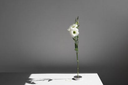No Vase by Moisés Hernández