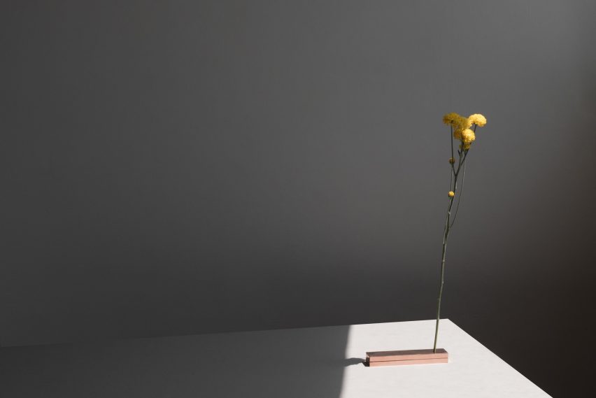 No Vase by Moisés Hernández