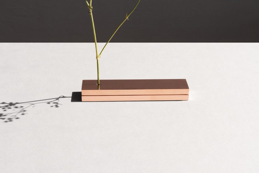 No Vase by Moisés Hernández