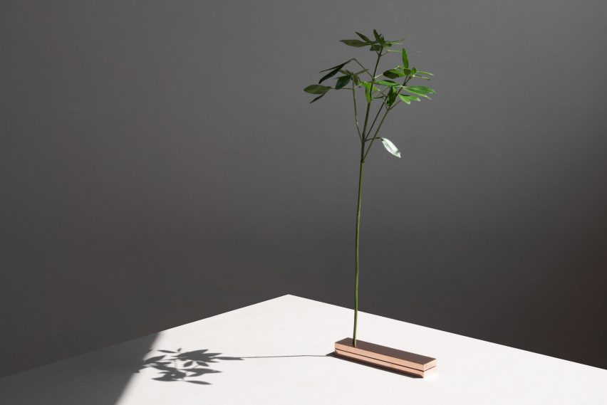 No Vase by Moisés Hernández