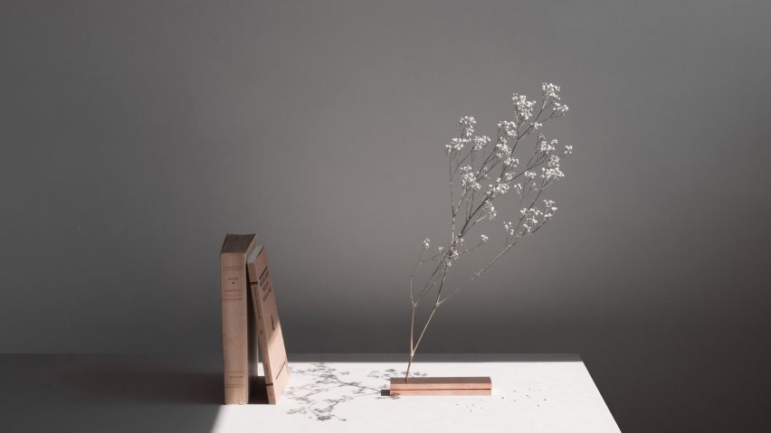No Vase by Moisés Hernández