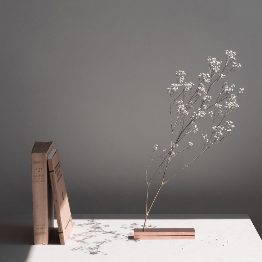 No Vase by Moisés Hernández