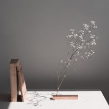 No Vase by Moisés Hernández
