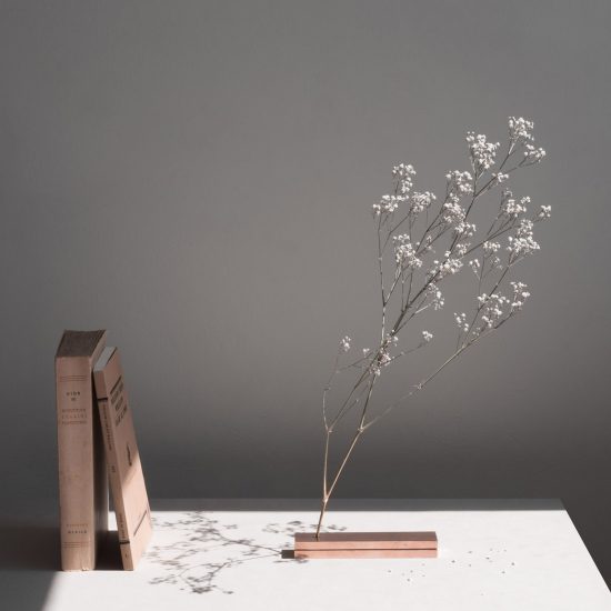 No Vase by Moisés Hernández