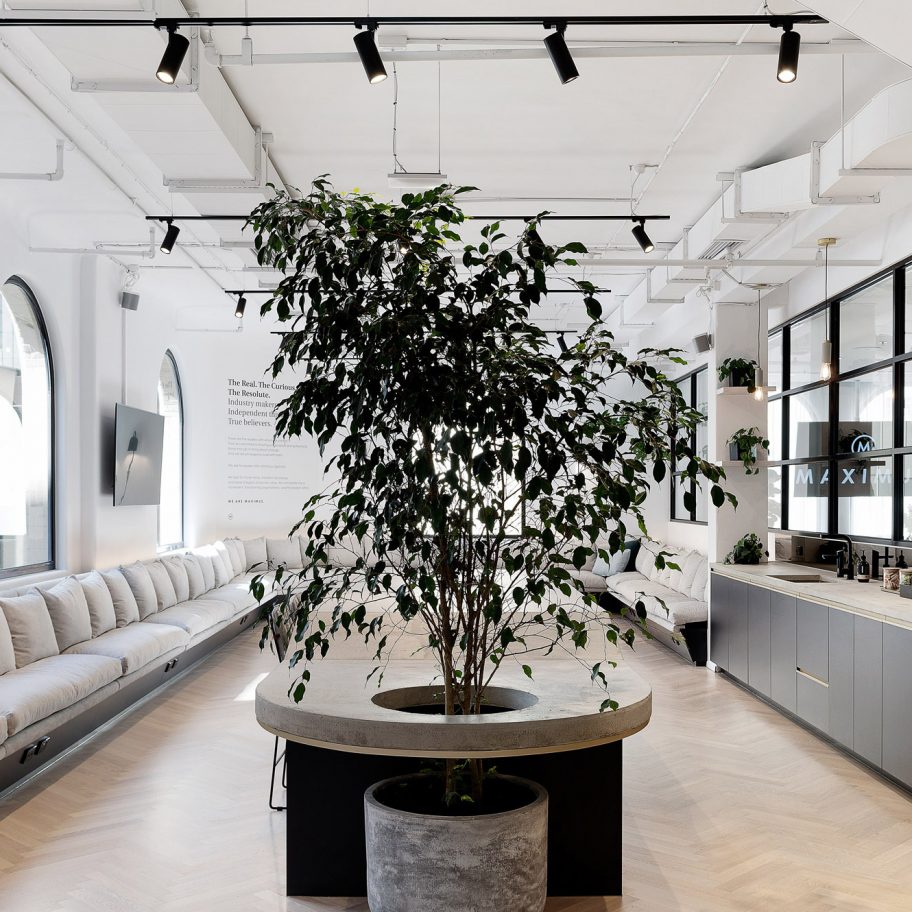Siren Design creates "environments where people can thrive"