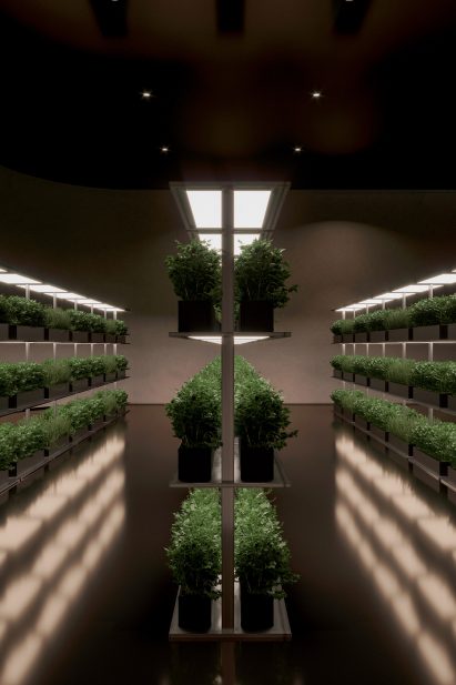Underground House Plan B by Sergey Makhno Architects