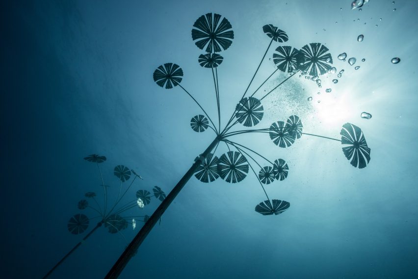Coral Greenhouse by Jason deCaires Taylor