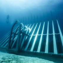 Coral Greenhouse by Jason deCaires Taylor