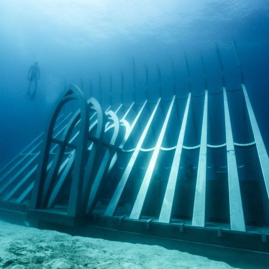 Coral Greenhouse by Jason deCaires Taylor