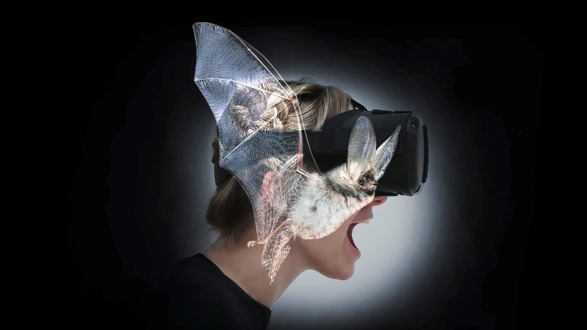 Batvision – by Raffaele Grosjean and Eliane Zihlmann with ZHdK's Immersive Arts Space