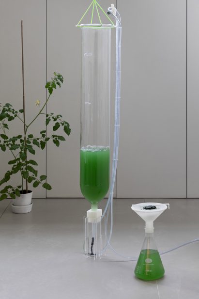BioBombola by EcoLogicStudio