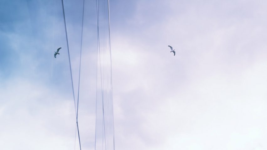 Bird legislation passes in US House of Representatives