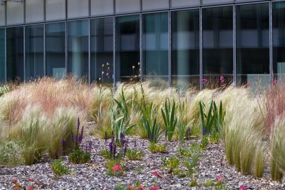 BMI Group creates "active" roofs that double as water reservoirs and gardens