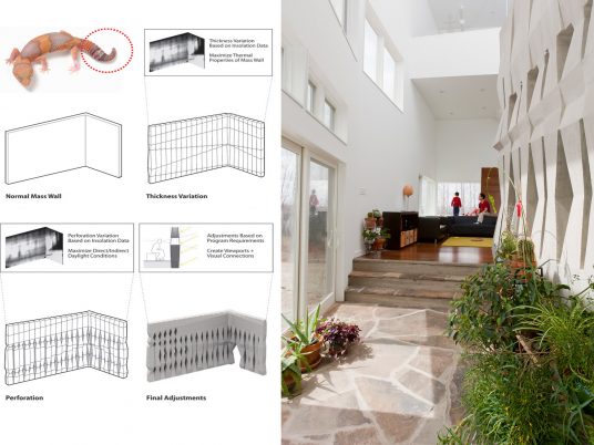 Epiphyte Lab creates architecture "with empathy to all species"