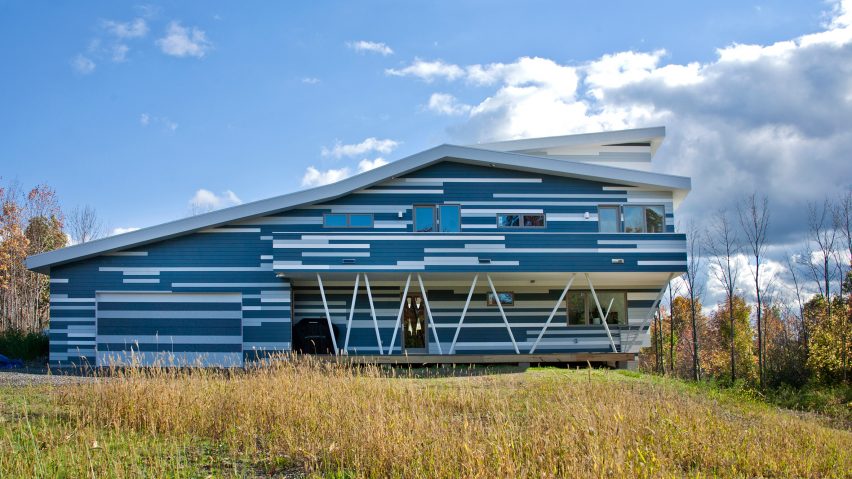 Epiphyte Lab creates architecture "with empathy to all species"