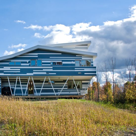 Epiphyte Lab creates architecture "with empathy to all species"
