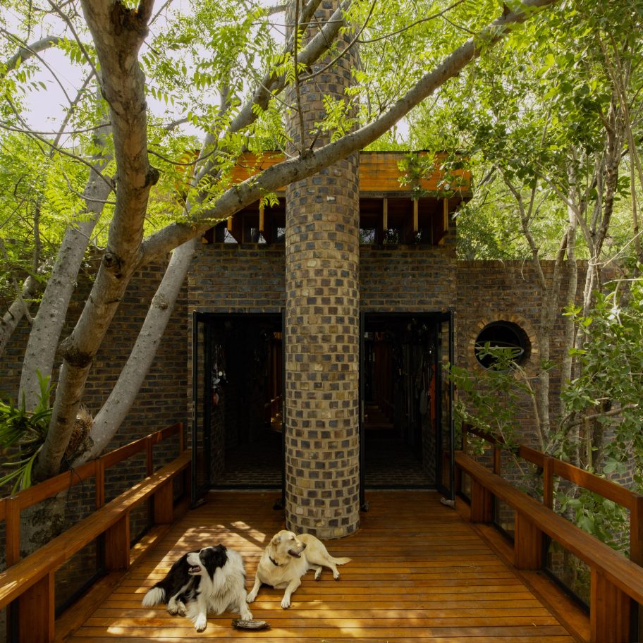 House of the Big Arch in the bushveld nature reserve, South Africa, by Frankie Pappas