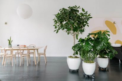 Hawthorne Studio by BoND