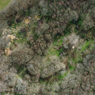 "I'm not an enormous advocate of the planting of trees," says Sebastian Cox