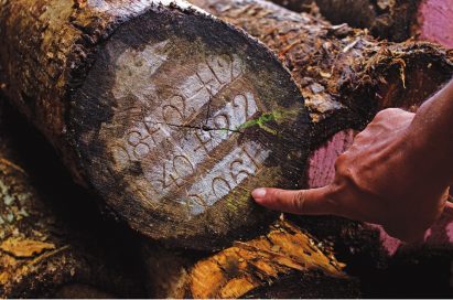Call for entries to Timber Trade Federation's Conversations about Climate Change competition