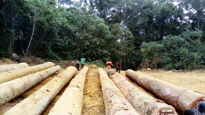 Call for entries to Timber Trade Federation's Conversations about Climate Change competition