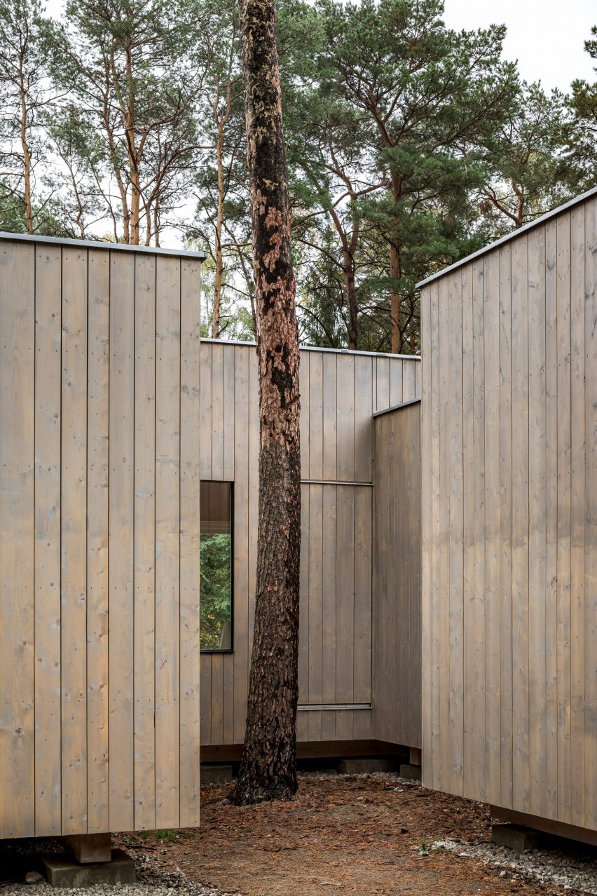 Haus Koeris timber house in Klein Köris, Germany, by Zeller & Moye