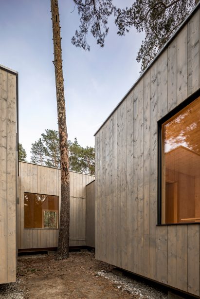 Haus Koeris timber house in Klein Köris, Germany, by Zeller & Moye