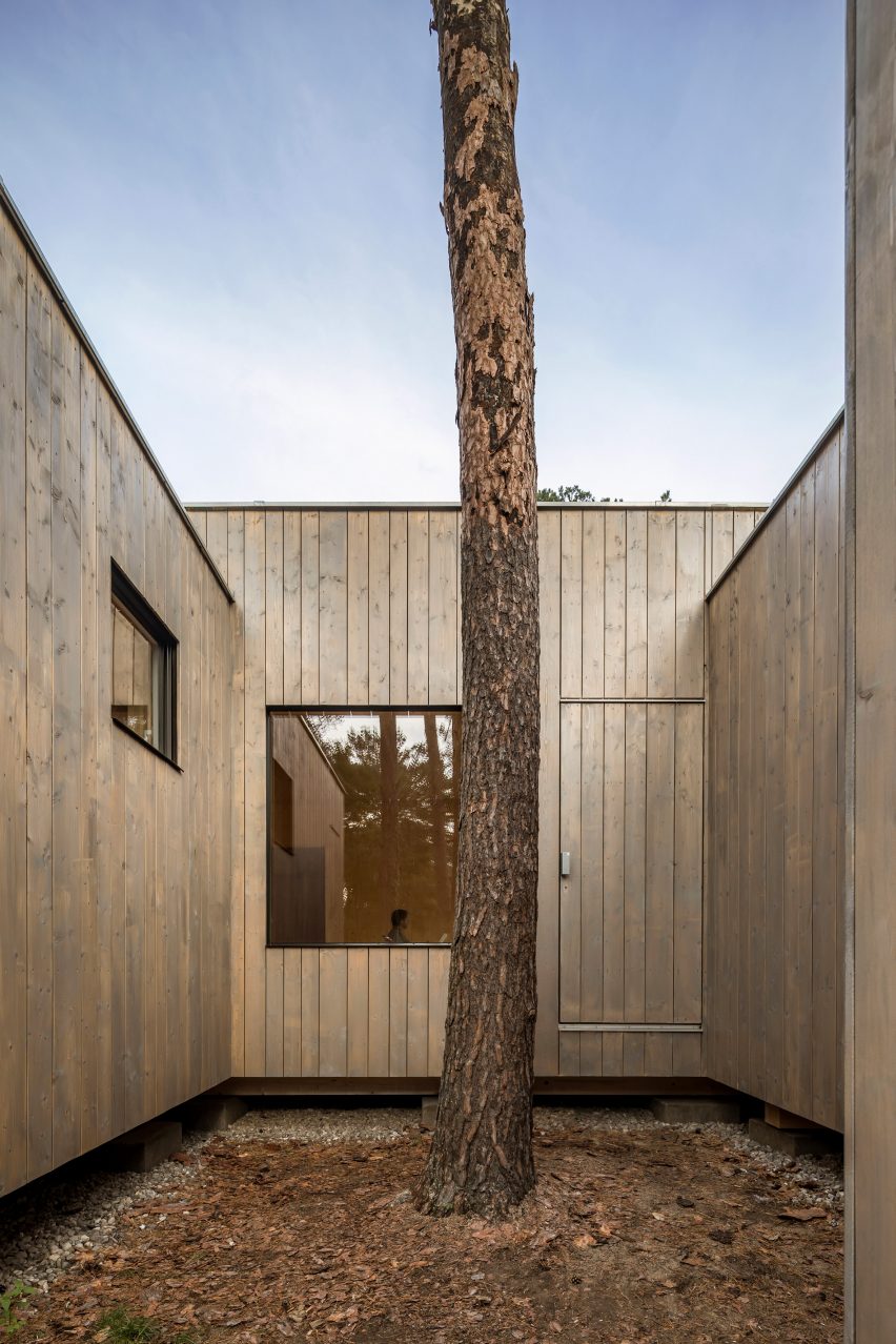 Haus Koeris timber house in Klein Köris, Germany, by Zeller & Moye
