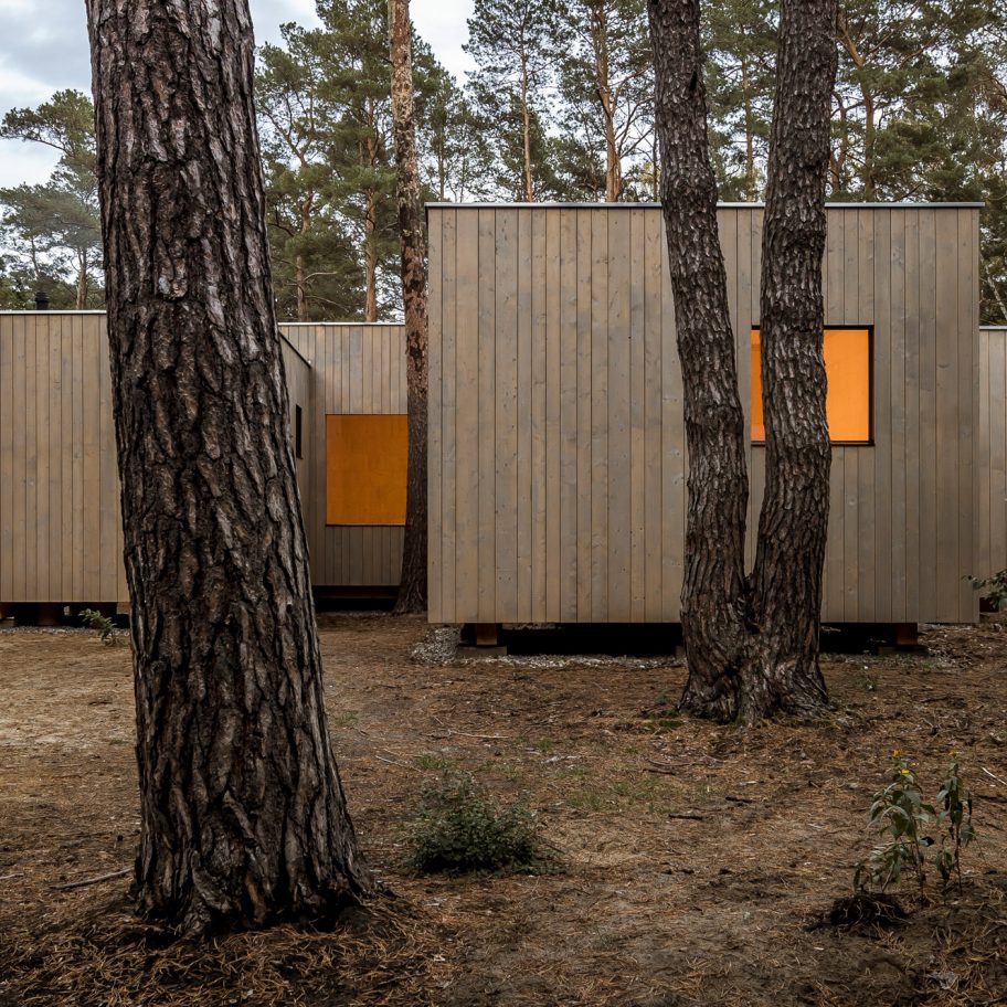 Zeller & Moye arranges timber house around pine trees in German forest