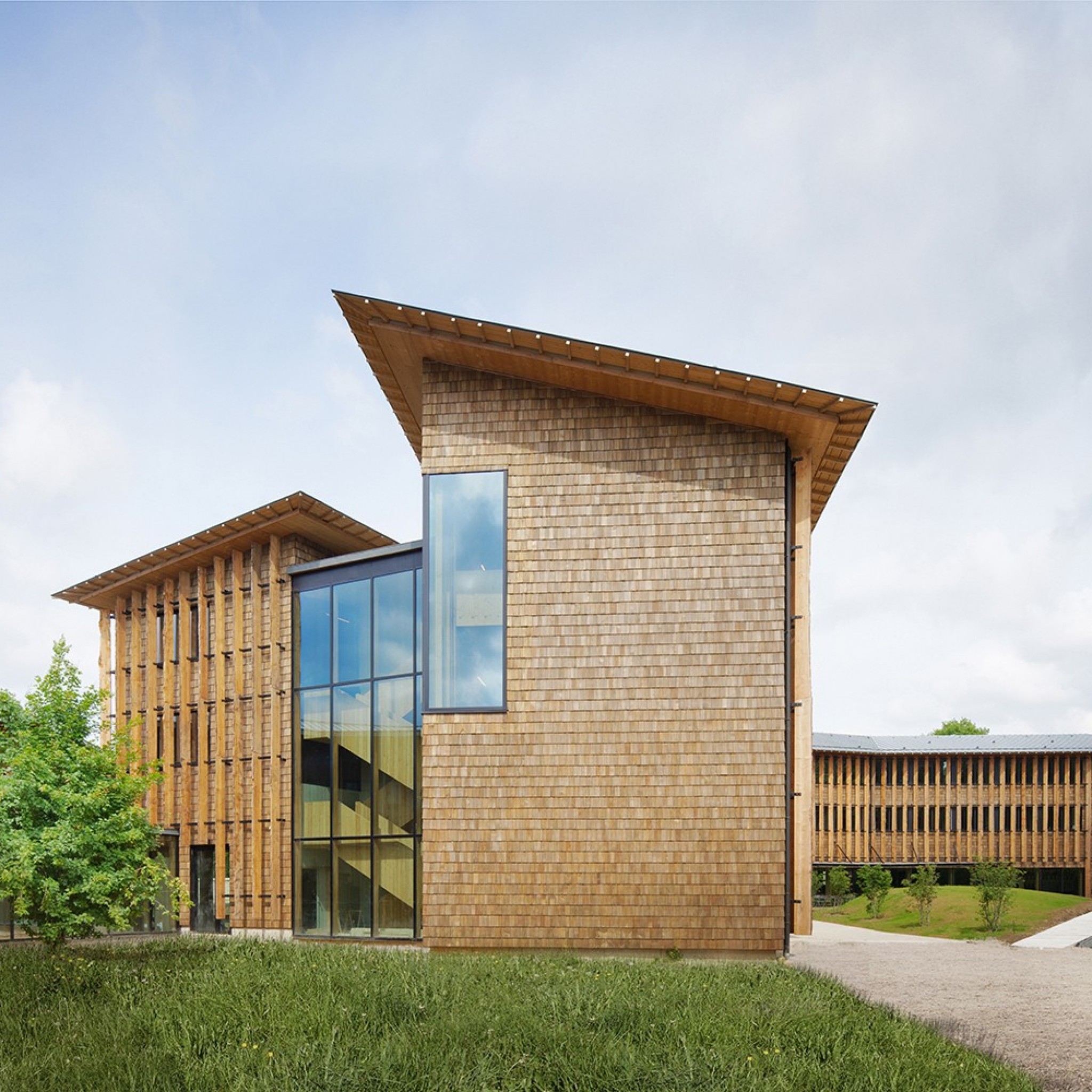 Woody by Atelier du Pont