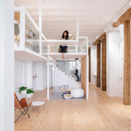 Zooco Estudio