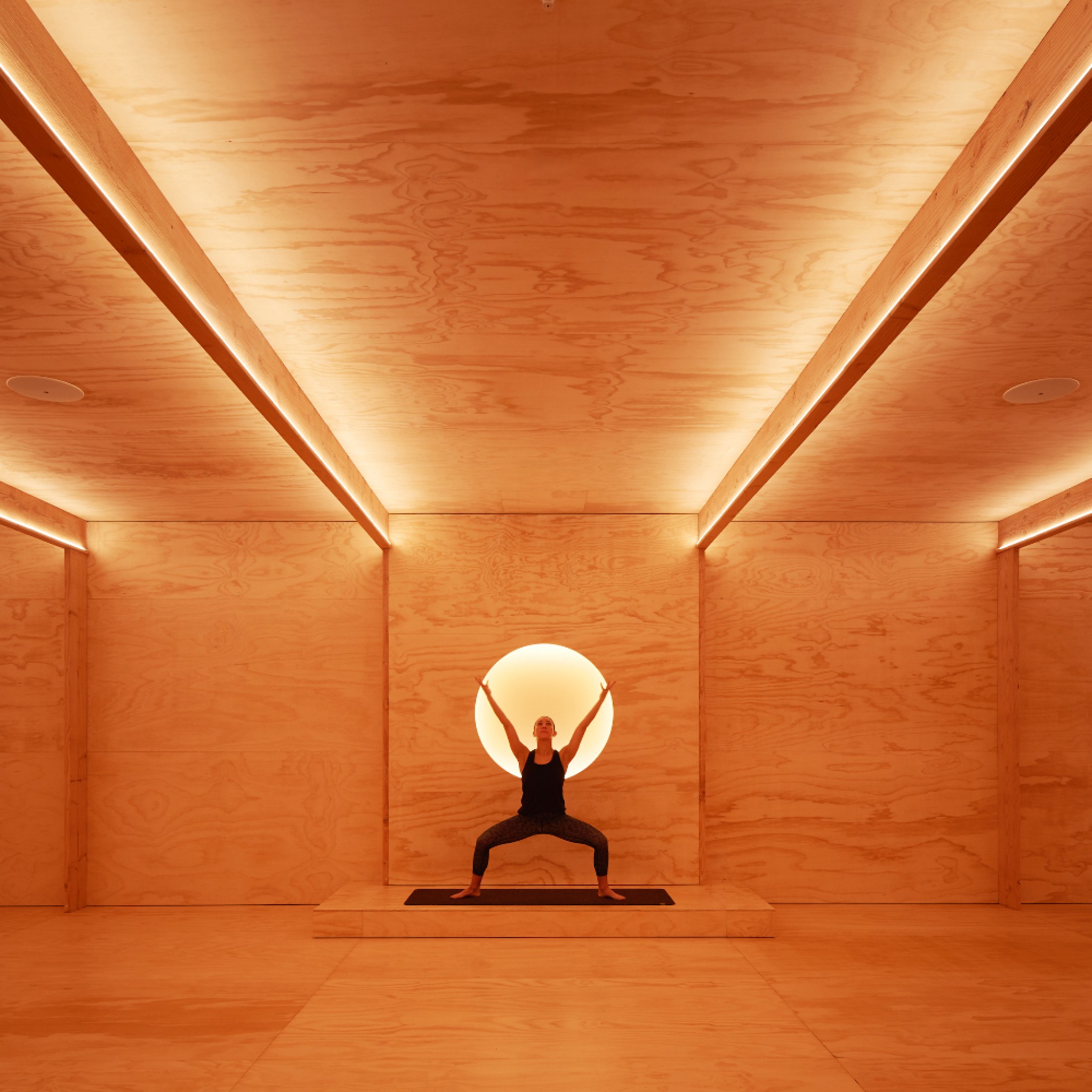 Egg of the Universe Yoga Studio by Brewer Architects