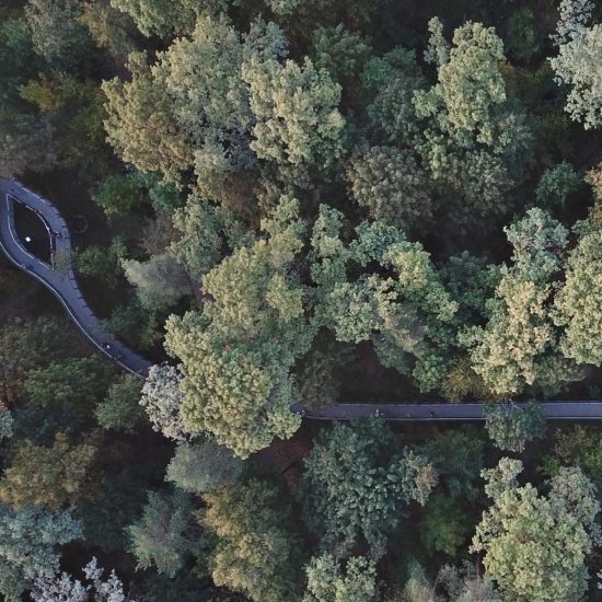 Suspended Eco-Trail by Legato Sport Architecture