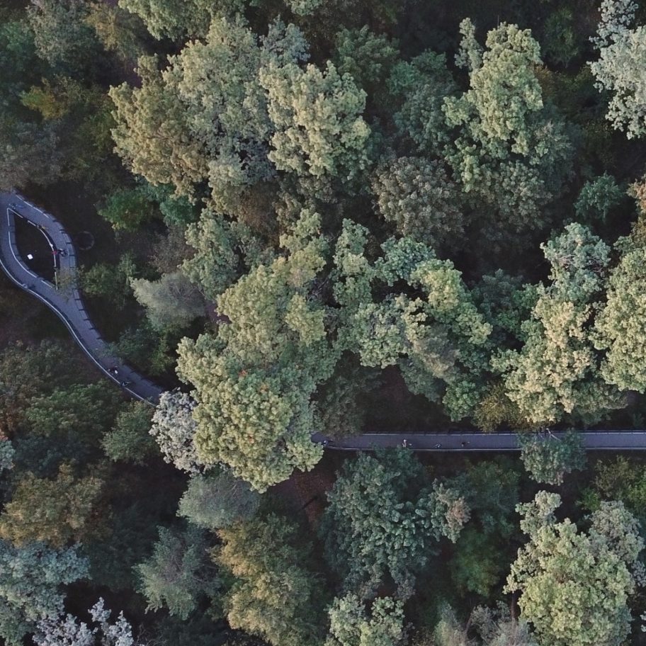 Suspended Eco-Trail