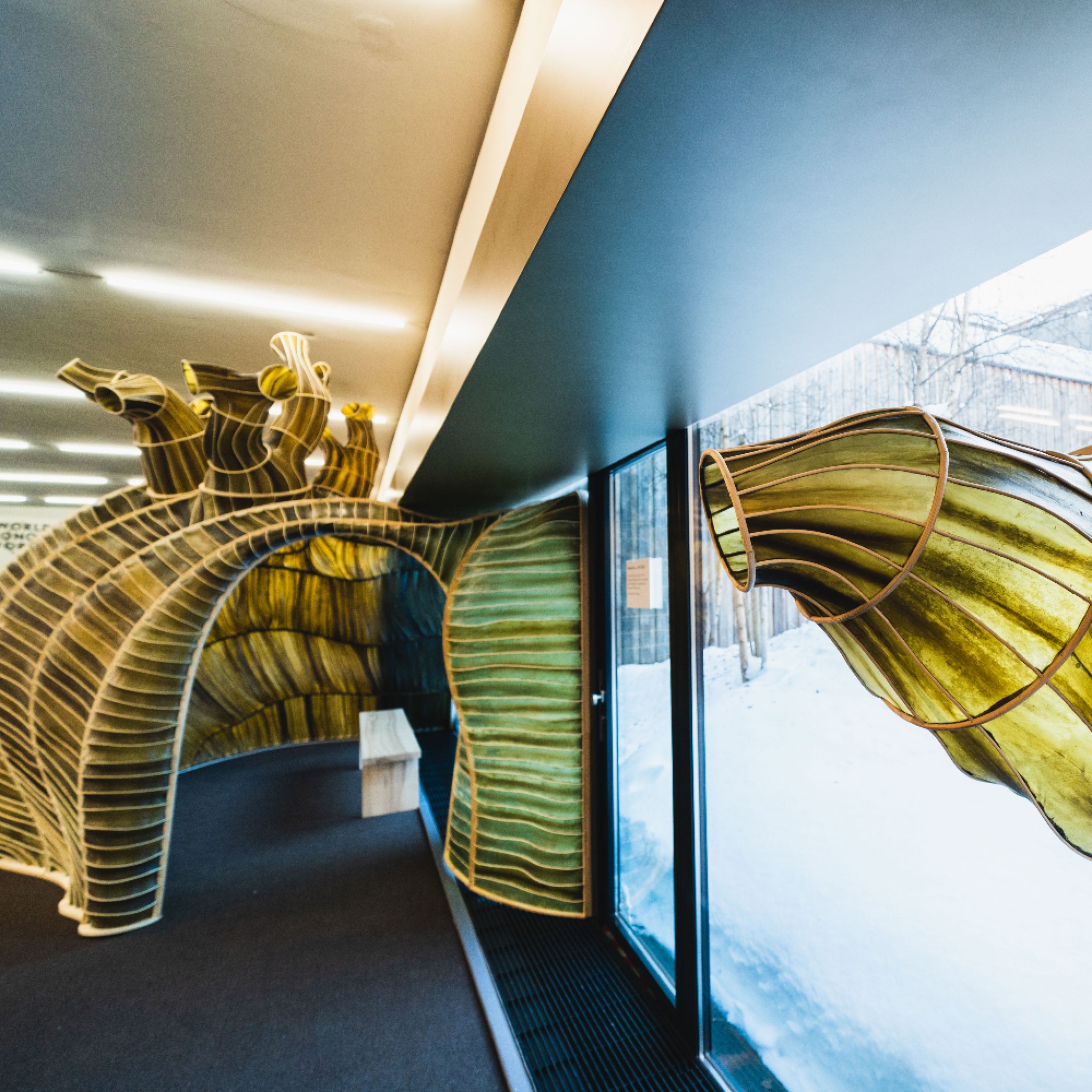 The Department of Seaweed Installation and Workshops by Julia Lohmann and Aalto University