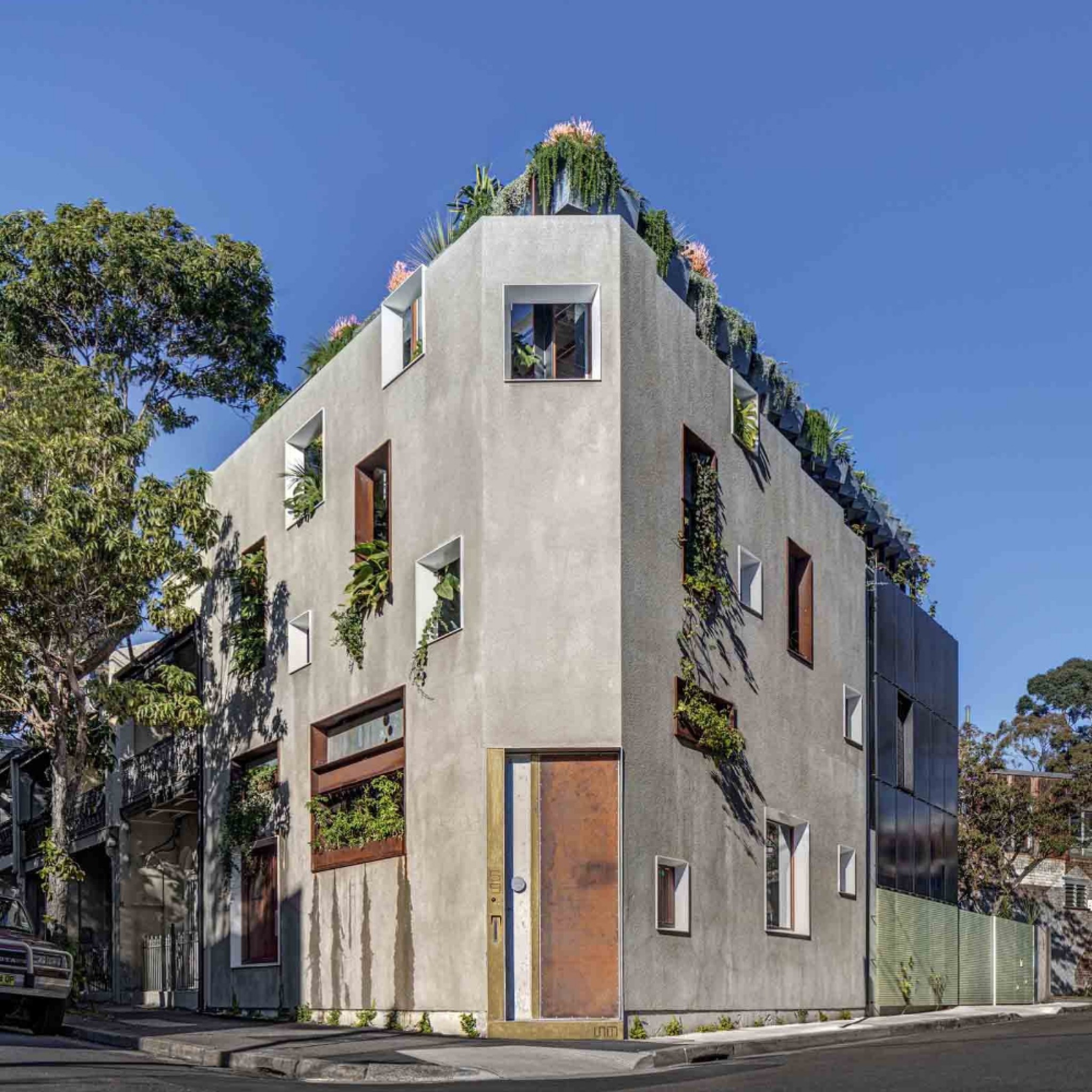 Welcome to The Jungle House by CplusC
