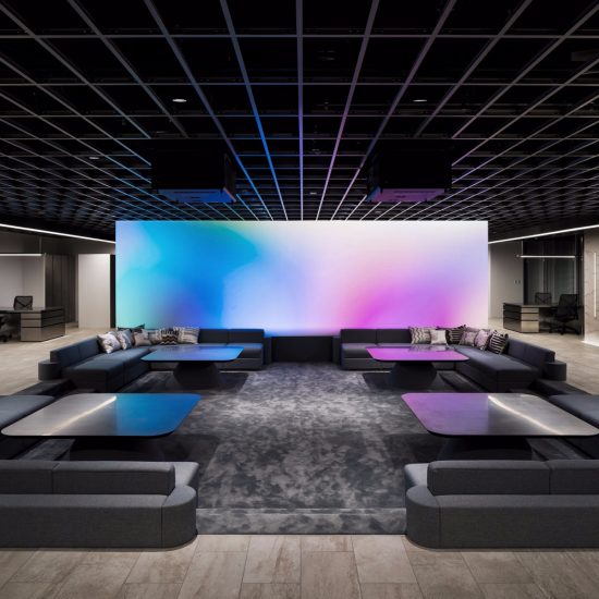 WARP studio