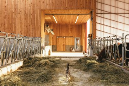 Au Gré des Champs by La Shed